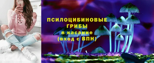 стаф Верея