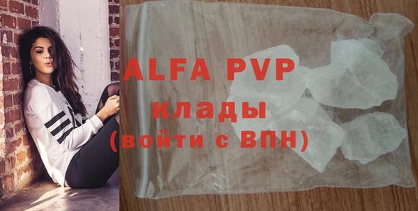 стаф Верея