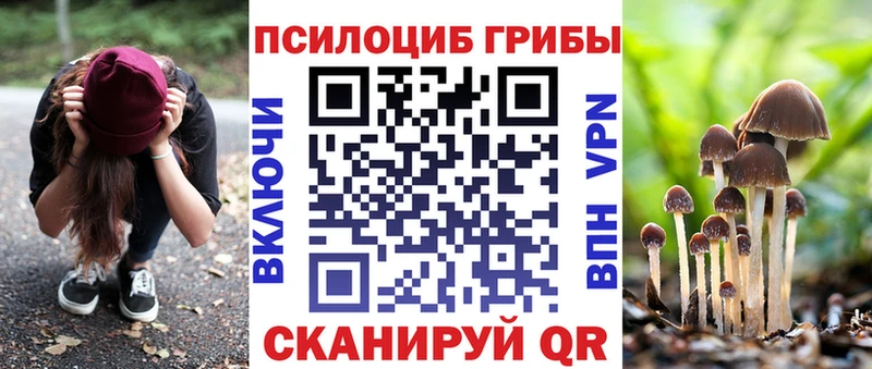 Псилоцибиновые грибы GOLDEN TEACHER MEGA как войти Долинск